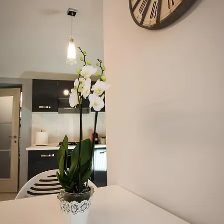 Daire Casa Ricardi