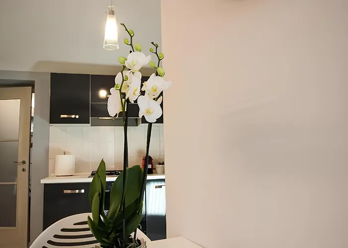 Apartamento Casa Ricardi